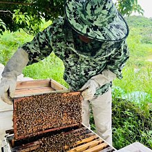 【一組2入】(小款) 斜插式 筆筒 桌面收納 文具置物架四格 多功能長方形收納盒 歷史價格詳細信息