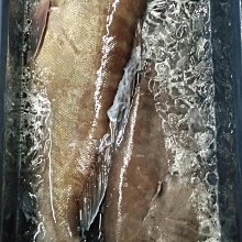 漁船沖鋒舟皮劃艇2.3米黑金剛釣魚船 歷史價格詳細信息