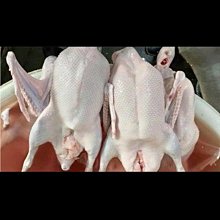 00718 1000片歐洲進口拼圖 Rav 繪畫插畫 聖誕節 甜點 餅乾 薑餅人 企鵝 聖誕樹 雪人 歷史價格詳細信息