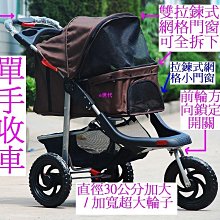 三代豪華版拉麗神 銀貂/金貂 垂直律動機 贈石墨烯枕頭×1(款式隨機) 歷史價格詳細信息