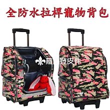 【葳爾登】提可樂Daycrown硬殼20吋旅行箱【正規硬殼鋁框行李箱】鏡面登機箱4x2八輪20吋326桃紅色 歷史價格詳細信息