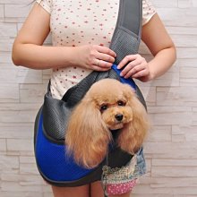 【米狗屋】透氣網狀寵物涼鞋/狗鞋-粉紅色˙剩4號˙高級牛筋鞋底、透氣舒適、防滑 歷史價格詳細信息