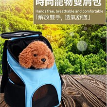 【飛炫戶外】軟皮內襯寵物項圈 M/L/XL 狗狗項圈 多色狗鏈 寵物項圈套 泡棉內襯 寵物項圈 泰迪脖子圈 狗鍊頸圈 歷史價格詳細信息