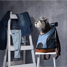 ～寵翻天～吉沛思 樂倍多 LEPEIDUO UC-II 關節健力膠囊/30顆 120顆 歷史價格詳細信息