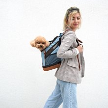 *COCO*依比呀呀新LISO後背平行寵物拉桿包(岩灰藍/橘咖啡)FC1705拉桿推車IBIYAYA高鐵/台鐵/捷運可用 歷史價格詳細信息