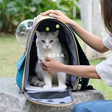 熱銷 貓咪外出包大容量貓包外出便攜個性帆布貓背包出門寵物透氣雙肩包【景秀商城】 歷史價格詳細信息