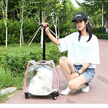 外出便攜太空艙寵物包可愛個性高顏值手提網紅貓咪背包貓書包 戶外旅行包 貓包狗包 寵物外出包 歷史價格詳細信息