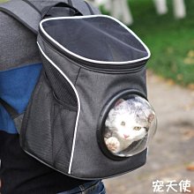 溜貓背包小奶貓工字型書包牽引繩貓咪專用金漸層幼貓防掙脫胸背帶 歷史價格詳細信息