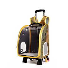 【現貨】貓包外出便攜貓籠子貓咪太空艙背包裝貓的手提包寵物狗狗外帶用品 歷史價格詳細信息