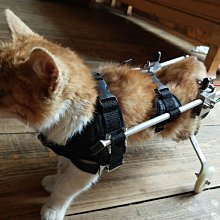 現貨小奶喵洛麗塔毛絨OP秋冬長袖加厚Lolita洛麗塔連衣裙可愛學生 歷史價格詳細信息