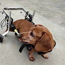 【便盆椅】康復醫療 鋁製便盆椅升降可收納附輪款 歷史價格詳細信息