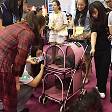 現貨 寵物推車Taiwan pet trolley bag dog cat go out portable cart D 歷史價格詳細信息