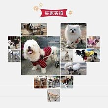 現貨 迷你小拖把桌面清潔海綿車用茶台玻璃顯示器刮水免手洗膠棉頭耐用 3QO9 歷史價格詳細信息