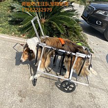 現貨 寵物推車殘S疾癱瘓輪椅康復用代步車寵物狗狗泰迪狗輪椅四肢無力老年小車 歷史價格詳細信息