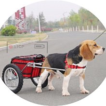 抖音拉屎的火烈兒童電動發聲唱歌寵物玩具女孩禮物 歷史價格詳細信息