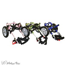 美國疾管局推薦【REPEL】天然檸檬尤加利精油驅蟲液 (118ml) 歷史價格詳細信息