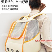 貓包外出便攜大容量雙肩寵物背包書包可愛蜜蜂外出貓咪狗狗防應激 歷史價格詳細信息