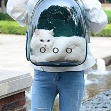 促銷寵物靈寶可夢傑尼龜毛絨玩具皮卡丘大眼烏龜公仔小孩生日禮物  購物市集 歷史價格詳細信息