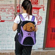 【熱賣精選】寵物泰迪比熊博美貴賓約克夏奶狗幼犬小型犬狗狗衣服秋季 歷史價格詳細信息