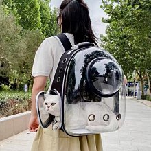 【熱賣精選】寵物背包絨衣秋冬款泰迪比熊博美柯基小型犬貓咪狗狗衣服春秋保暖 歷史價格詳細信息