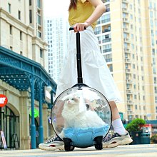 寵物拉桿箱，外出便攜雙層行李箱，透明航空箱小推車，貓咪小型犬適用 歷史價格詳細信息