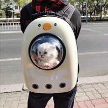 精品便攜寵物背包狗用自背中小型犬柴犬柯基泰迪胸背帶書包遛狗牽引繩 歷史價格詳細信息