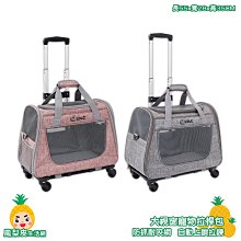 寵物出眾者寵物背帶遛狗牽引繩拉布拉多柴犬柯基金毛中小型犬胸背帶牽引繩 歷史價格詳細信息