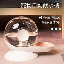 【優選】寵物外出飲水器便攜隨行杯彩色外出喝水杯旅行飲水器餵水杯 歷史價格詳細信息