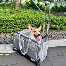 狗狗外出包 拉桿行李箱 時尚大空間肥貓無憂貓包 車用貓咪提袋 便攜寵物後背包 寵物外出籠 萬向輪寵物拉桿包 貓籠 歷史價格詳細信息