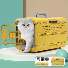 寵物 可摺疊貓咪隧道窩玩具 隧道玩具 貓咪隧道 貓通道 貓屋 逗貓 貓咪玩具 寵物玩具 寵物互動 貓咪 現貨 歷史價格詳細信息