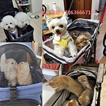 精品寵物遛狗繩狗鏈子牽引繩胸背帶背心式中型大型犬拉布拉多寵物用品 歷史價格詳細信息