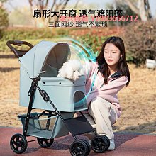 精品貓咪牽引繩背心式繩子背帶防掙脫遛貓繩遛貓神器鏈子貓貓專用 歷史價格詳細信息
