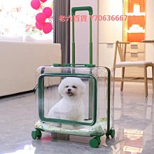 精品寵物氣墊軟針梳泰迪拉毛開結爆毛順毛梳毛貓專用去浮毛梳子小白梳 歷史價格詳細信息