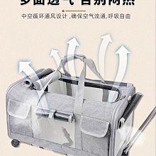 精品寵物氣墊軟針梳泰迪拉毛開結爆毛順毛梳毛貓專用去浮毛梳子小白梳 歷史價格詳細信息