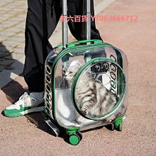 精品寵物氣墊軟針梳泰迪拉毛開結爆毛順毛梳毛貓專用去浮毛梳子小白梳 歷史價格詳細信息