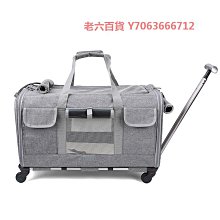 精品寵物氣墊軟針梳泰迪拉毛開結爆毛順毛梳毛貓專用去浮毛梳子小白梳 歷史價格詳細信息