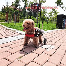 狗輪椅可調節后肢寵物助力車老年狗前肢輔助車后腿助行車狗殘疾車 歷史價格詳細信息