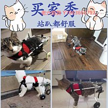 精品貓咪輪椅小型后肢殘疾摔傷骨折小貓后腿支架訓練輕便舒適 歷史價格詳細信息