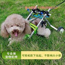 精品貓咪輪椅小型后肢殘疾摔傷骨折小貓后腿支架訓練輕便舒適 歷史價格詳細信息