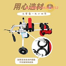 精品貓咪牽引繩背心式繩子背帶防掙脫遛貓繩遛貓神器鏈子貓貓專用 歷史價格詳細信息