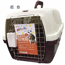 ☆汪喵小舖2店☆ 寵物專用瓜子目鍊 鐵鏈頸圈 鐵鍊項圈50cm // 適合中型犬 歷史價格詳細信息