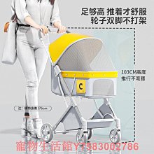 爆款寵物玩具 消耗精力迷宮盤投食diy寵物用品 歷史價格詳細信息