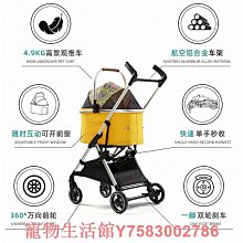 日韓熱銷可調整口罩掛繩4入 歷史價格詳細信息