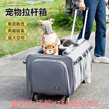 寵物拉夫威爾狗狗雙頭牽引繩美國ruffwear遛狗繩鏈子大小型犬寵物用品牽引繩 歷史價格詳細信息