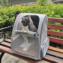 豆豆寵物自動餵食器 寵物餵食器 自動餵水器 寵物飲水機 狗碗 貓碗 貓咪狗狗餵食器 餵食器 餵水器 自動飲水餵食器 歷史價格詳細信息