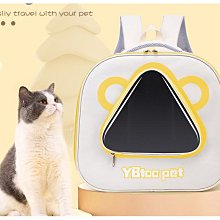 豆豆寵物自動餵食器 寵物餵食器 自動餵水器 寵物飲水機 狗碗 貓碗 貓咪狗狗餵食器 餵食器 餵水器 自動飲水餵食器 歷史價格詳細信息