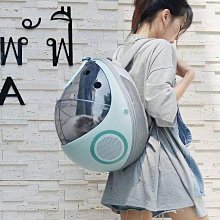 寵物外出包背包貓包狗包背袋胸前包單肩包袋鼠包運動包外出便攜包寵物提袋斜挎包 小花運動風斜單肩側背包 歷史價格詳細信息