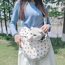 帆布斜挎貓包 手提貓咪袋子 小型犬可露頭斜背包 寵物外出包 歷史價格詳細信息
