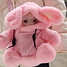 包外出便攜單肩航空包大容量寵物咪專用舒適透氣不悶布偶英短 歷史價格詳細信息