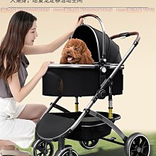 ZERO 犬貓狗保溫燈 鸚鵡 蜜袋鼯 鳥 刺蝟 兔貂 小動物防燙保溫燈 寵物防護加熱燈 浴霸電灯（不含燈泡）每件399元 歷史價格詳細信息